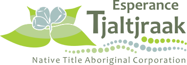 ETNTAC Logo